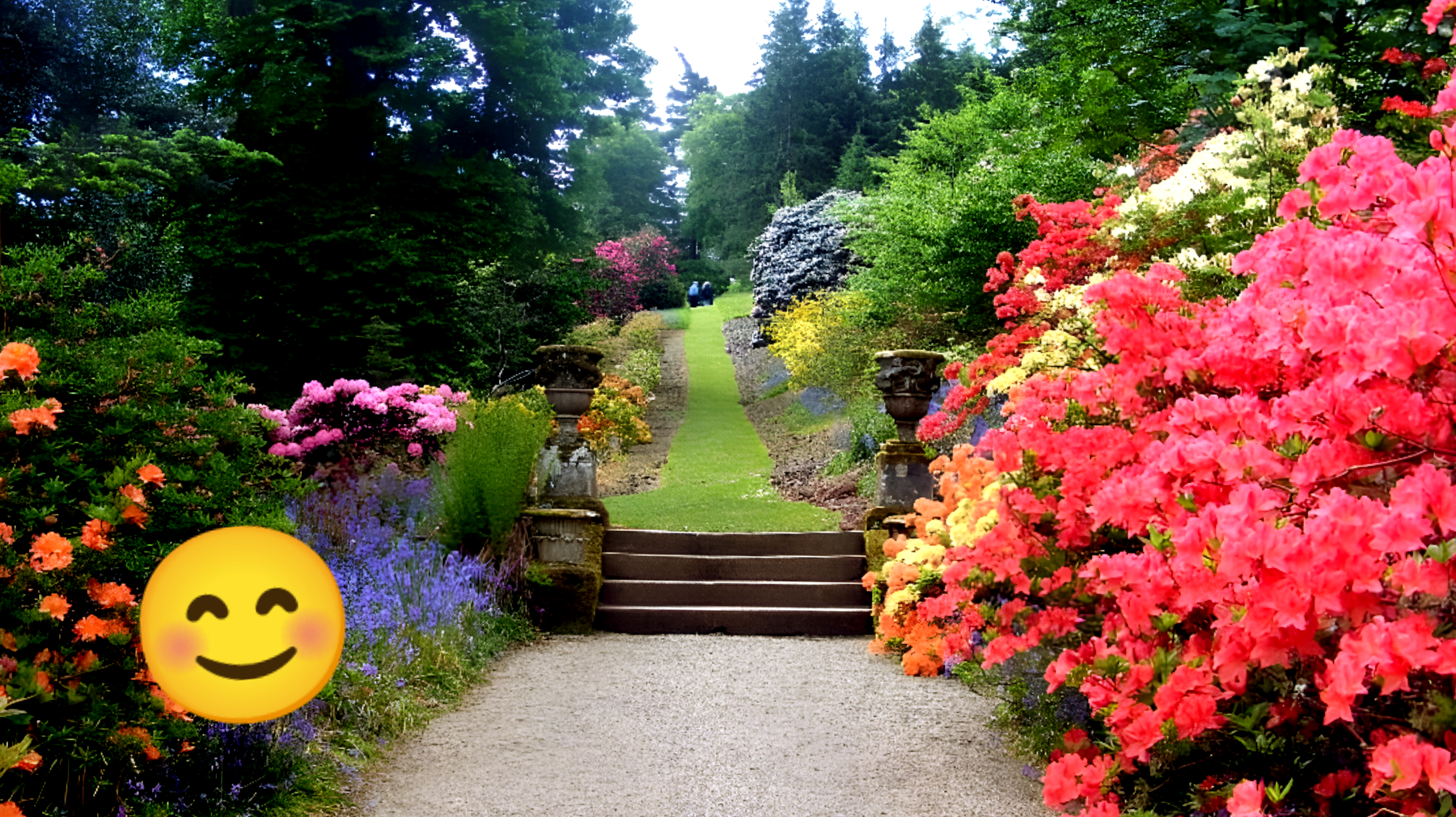 Scopri i fiori più profumati da non perdere nel tuo giardino: sveliamo i 5 migliori!